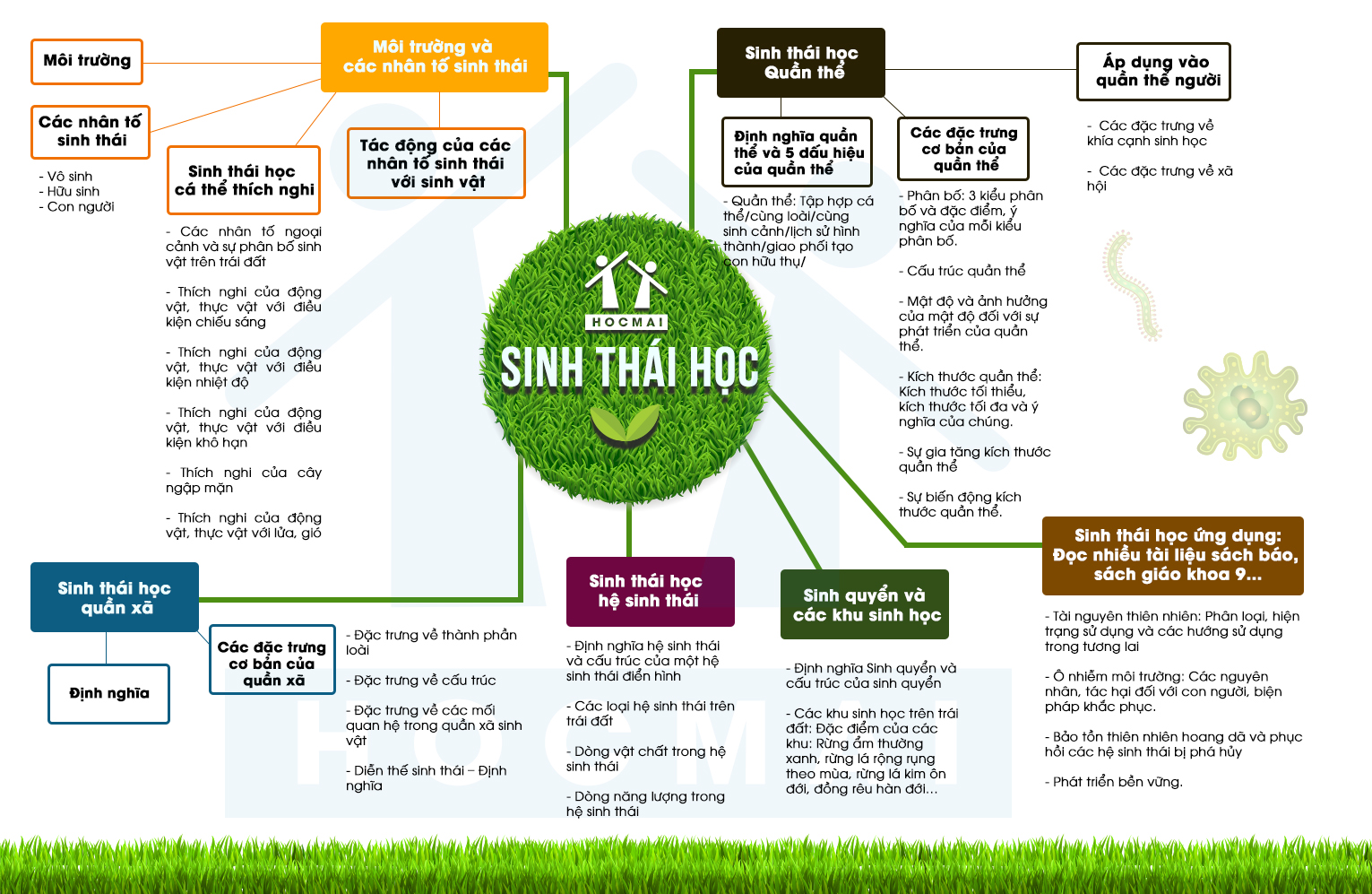 infographics sinh thai hoc