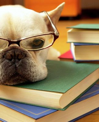 Teen 99 cần biết: Kiến thức lớp 11 trong đề thi THPT QG