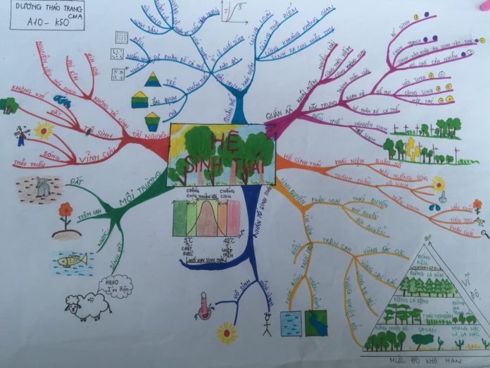 Bí kíp độc ôm trọn điểm lý thuyết môn Sinh học