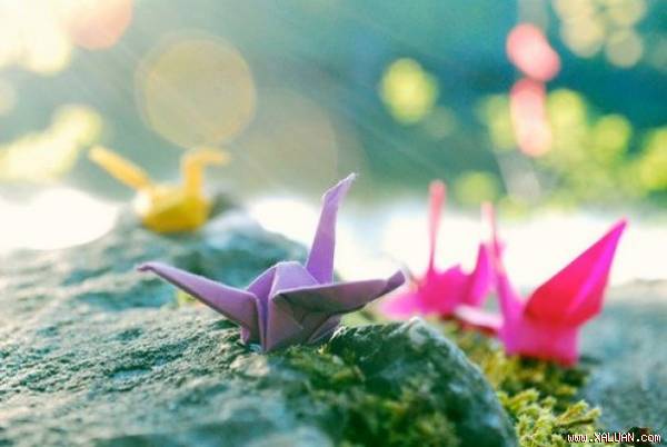 Chị ước được thi như bây giờ em biết không