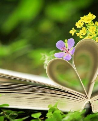 Chỉ có 7 ngày duy nhất để đặt chỗ Khóa học Cơ bản 11