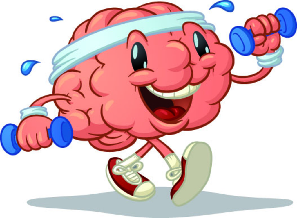 Màu Xanh Não Dự Án Não  Phim hoạt hình màu xanh hình ảnh bộ não png tải về   Miễn phí trong suốt Hành Vi Con Người png Tải về