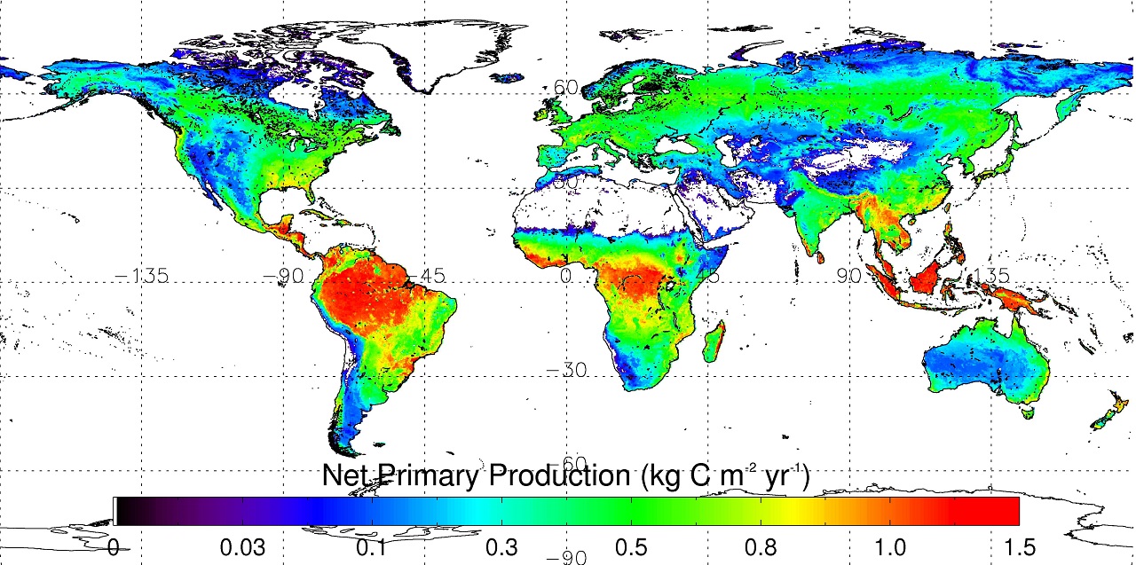 География 36. Primary Production. Net Primary Production. Net Primary Productivity. Net Primary Production and man load.