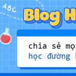 Banner blog Hocmai