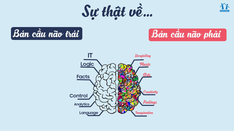 cách cân bằng 2 bán cầu não